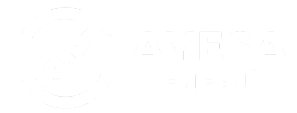 Ayesa Enerji